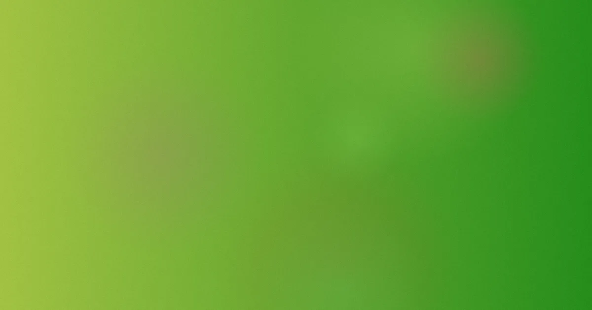 光亮怎么用：我家实测方法